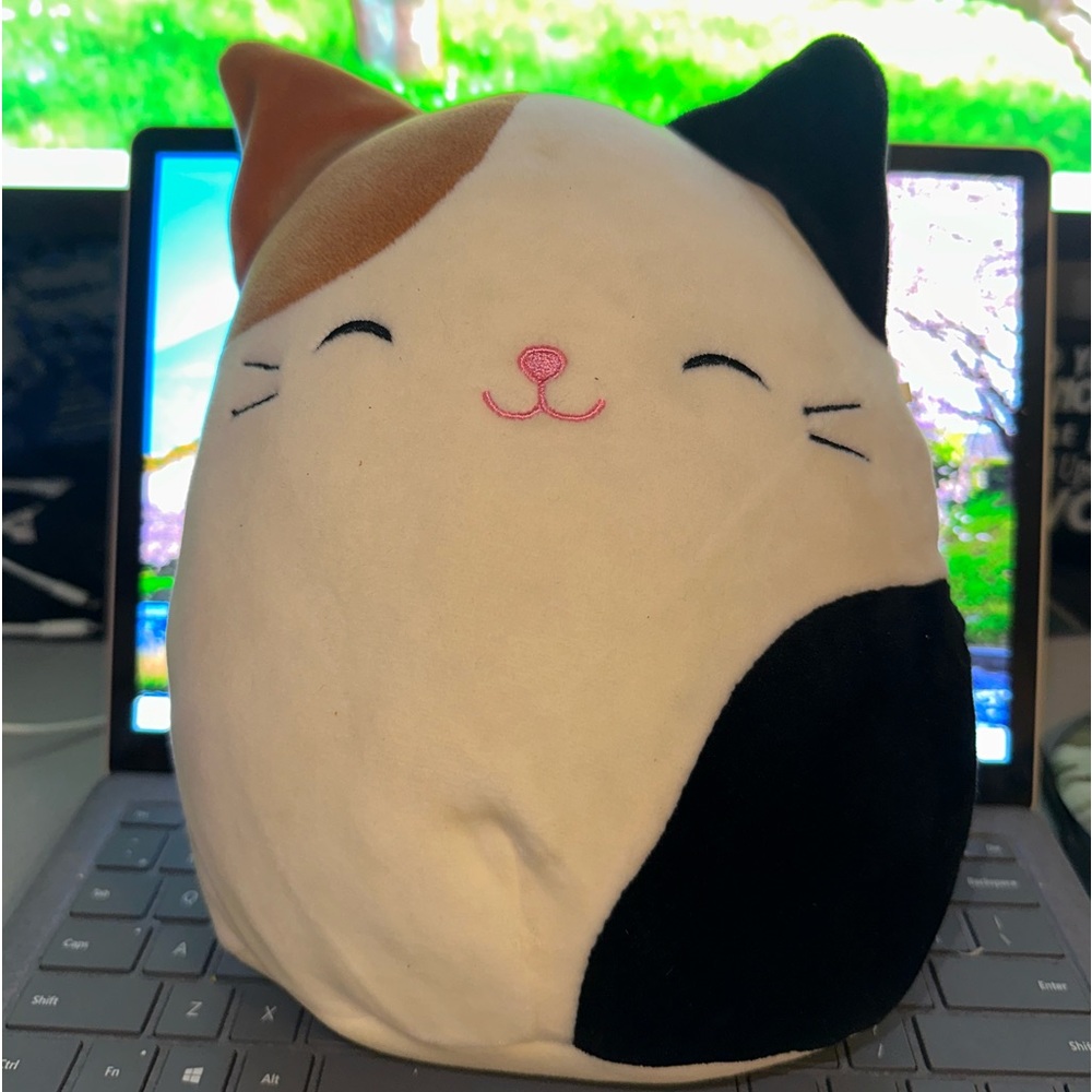 Squishmallows Cameron the Cat 8”